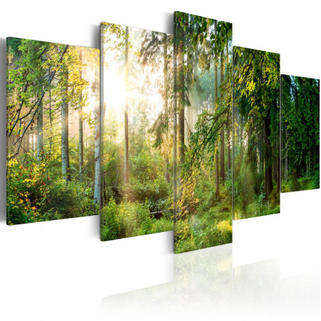 Seinapilt - Green Sanctuary - 200x100