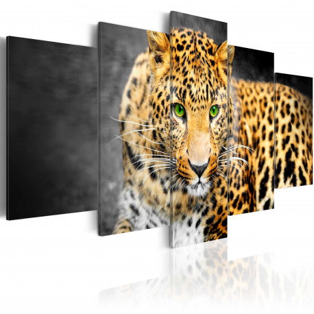 Seinapilt - Green-eyed leopard - 100x50