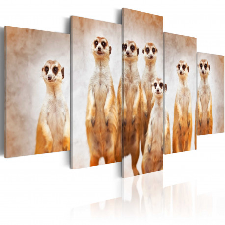 Seinapilt - Family of meerkats - 100x50