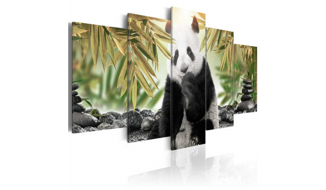 Seinapilt - Cute Panda Bear - 100x50