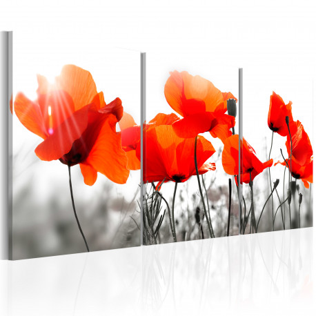 Seinapilt - Charming Poppies - 120x60