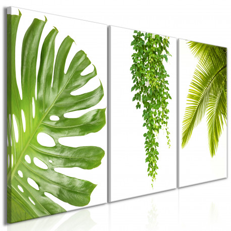 Seinapilt - Beautiful Palm Trees (3 Parts) - 120x60
