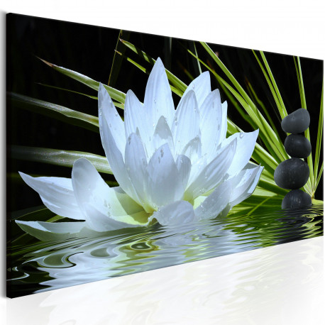 Seinapilt - Zen Garden (1 Part) Narrow - 120x40
