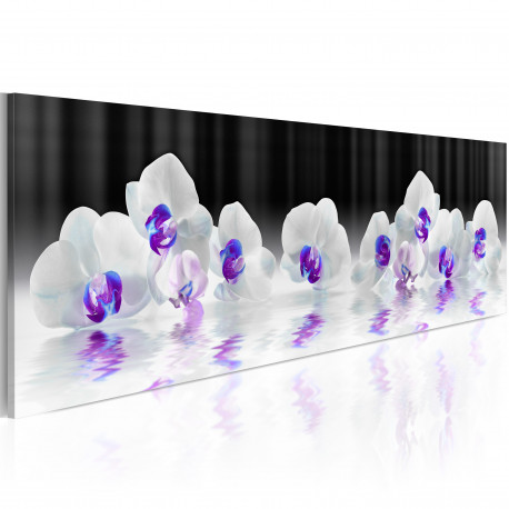 Seinapilt -  Water Orchids - 135x45