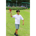 GO GO BIRD Interactive toy Dragon