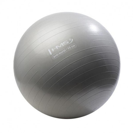 Anti Burst Gym Ball 55 Cm Silver Bumbas Photopoint Lv