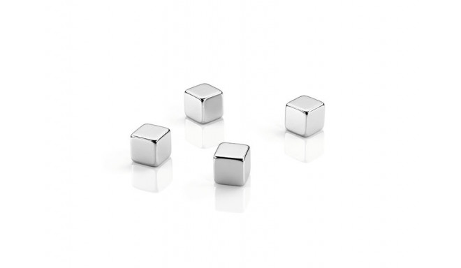 Tahvlimagnet Megadym CUBE, 10x10x10 mm, 50N, 4tk/kmpl,Dahle