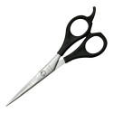 Pet Scissors Bifull Academy (15,2 cm)