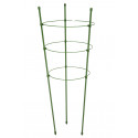 Taimede ringtugi 75cm