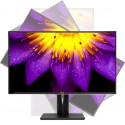 ASUS ProArt PA329C