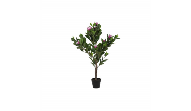 Декоративное растение DKD Home Decor Розовый Зеленый PE (60 x 60 x 125 cm)