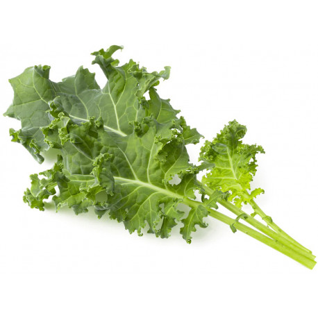 Click & Grow Smart Garden Refill Green Kale 3pcs