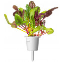 Click & Grow Smart Refill Kirju lehtpeet 3tk
