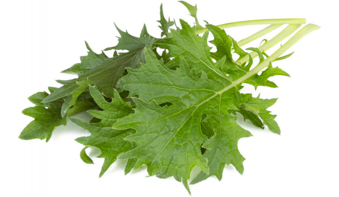 Click & Grow Smart Garden Refill Mizuna 3pcs