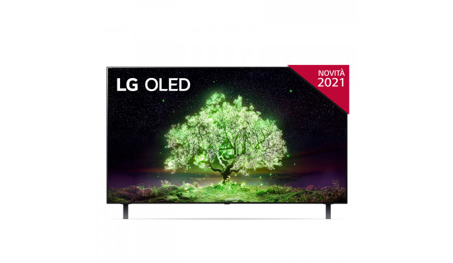 Televizorius OLED LG 48A13LA