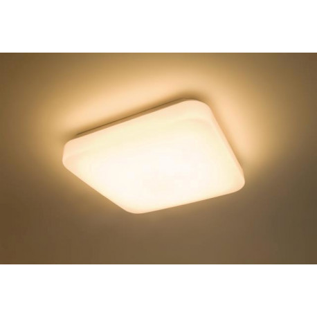CEILING LIGHT MAUVE 3111031P0 17W LED