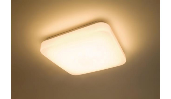 CEILING LIGHT MAUVE 3111031P0 17W LED
