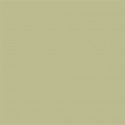 Superior Background Paper 13 Tropical Green 2.72 x 11m