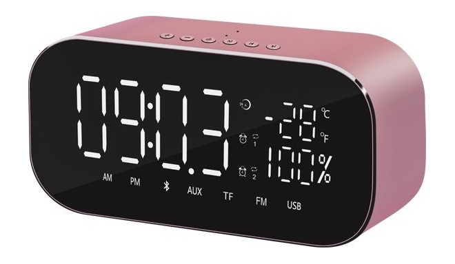 Radio clock ABTS-S2GOLD