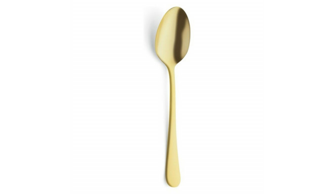 Dessert spoon Amefa Austin Gold 18,5 cm - 2,5 mm 12 Units