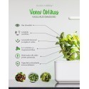 Click & Grow Smart Herb Garden кассета, Кислый щавель (3 шт)