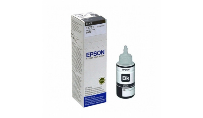 Epson T6731 (C13T67314A) Ink Refill Bottle, Black