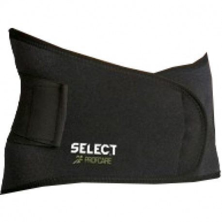 Lumbar support with Select 6411 brace (S)