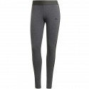 Adidas Essentials Legging W GV6019 (XL)