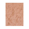 BOURJOIS Paris Ombre Á Paupiéres (1ml) (02 Iridesc´sand)