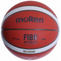 Basketball ball top training MOLTEN B5G3800 F