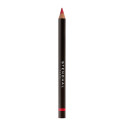 Huulelainer Stendhal Precision Nº 300 Rouge Originel