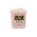 Yankee Candle Tranquil Garden (49ml)