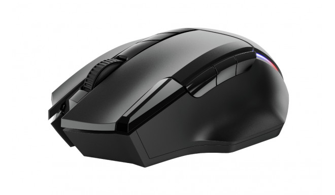 Trust GXT 131 Ranoo mouse Right-hand RF Wireless Optical 4800 DPI