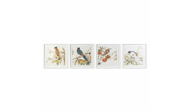Glezna DKD Home Decor Putnu Shabby Chic 60 x 2,5 x 60 cm (4 gb.)