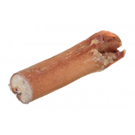 4DOGS - bull pizzle dental treat - S