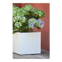 Plant pot EDA White (5 cm)