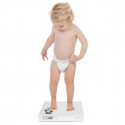 Digital Baby Scale Terraillon 2-in-1