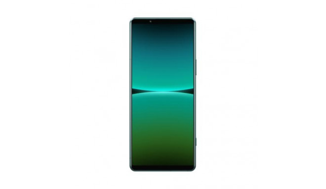 Sony Xperia X5 IV 5G 128GB D.Sim - Green 15.5 cm (6.1") Dual SIM Android 12 USB Type-C 8 GB 500