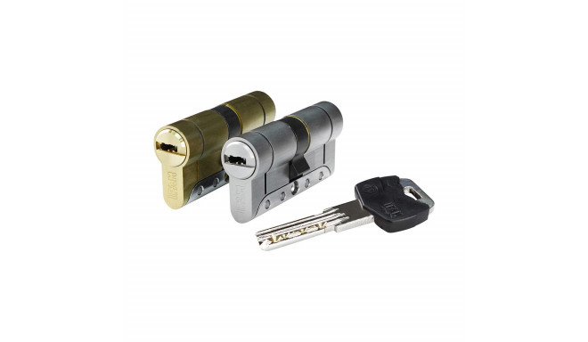 Cylinder IFAM IRM3040L Brass Stainless steel