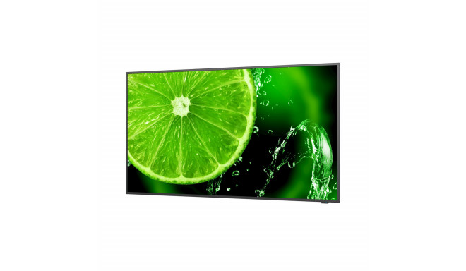 Monitor NEC 60005052 49" IPS LED