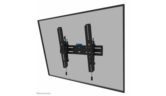 Televiisori Alus Neomounts WL35S-850BL14 32-65"