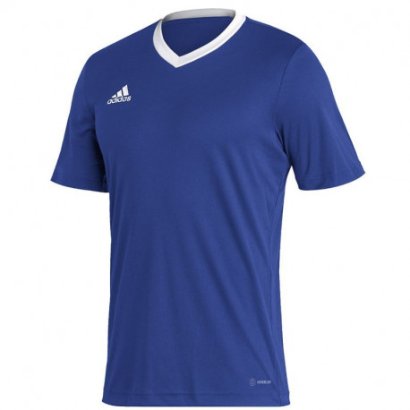Adidas Entrada 22 JSY M T-shirt HG6283 (XS)