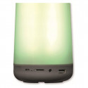 Denver Electronics juhtmevaba kõlar Bluetooth BTL-311 Bluetooth 1200 mAh 5W LED RGB
