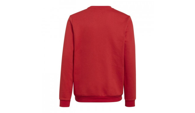 Adidas Entrada 22 Sweat Jr sweatshirt H57473 (152)