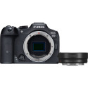 Canon EOS R7 + Mount Adapter EF-EOS R