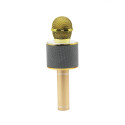 Manta MIC10-G gold