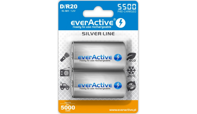 laetavad akud everActive R20/D Ni-MH 5500 mAh kasutusvalmis