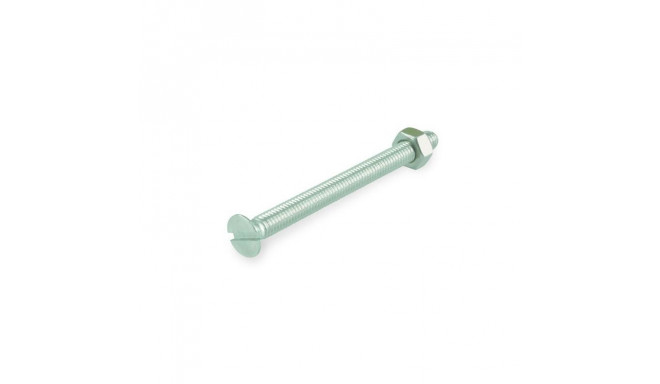 Masinkruvi M 4X30 A2-70 DIN963/ 6tk