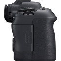 Canon EOS R6 Mark II + RF 24-105mm F4-7.1 IS STM + Mount Adapter EF-EOS R