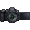 Canon EOS R6 Mark II + RF 24-105mm f/4L IS USM + Mount Adapter EF-EOS R